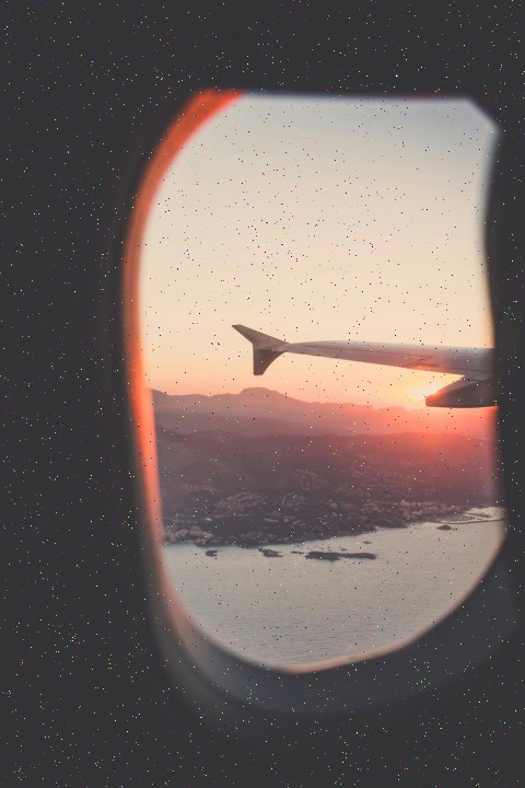 Redwoods forest trail