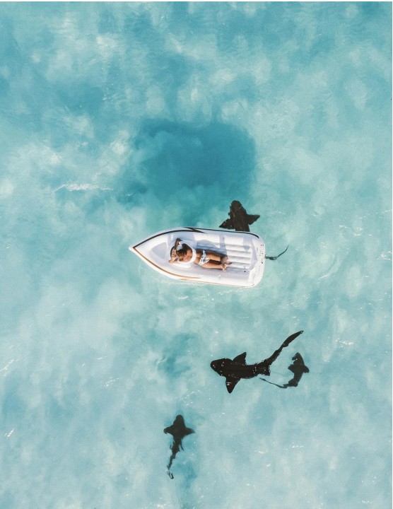 City family activities